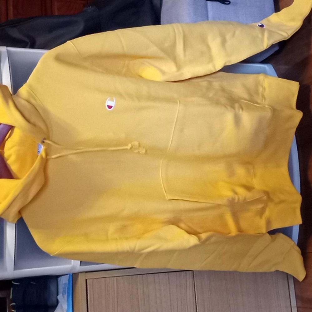 Champion Reverse Weave hoodie
